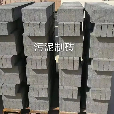 麗水全自動(dòng)碼磚機(jī)-干法磷石膏砌塊磚生產(chǎn)